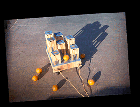 oranges